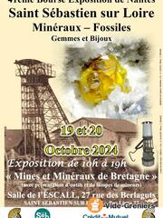 41ème expo - vente de mineraux, fossiles et pierres taillees