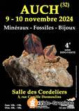 4e salon mineraux fossiles bijoux de auch (gers)