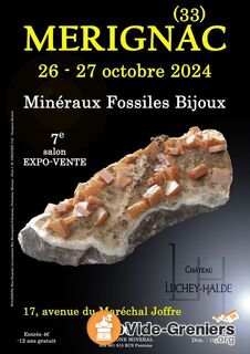 Photo de l'événement 7e salon mineraux fossiles bijoux de merignac (gironde)