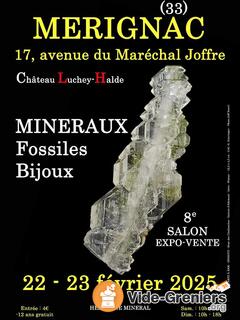 Photo de l'événement 8e salon mineraux fossiles bijoux de merignac (gironde)