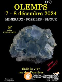 Photo de l'événement 8e salon mineraux fossiles bijoux de olemps (aveyron)