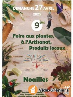 Photo de l'événement 9eme Foire aux plantes, et à l'artisanat