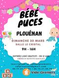 Photo Bébé Puces à Plouénan