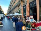 Belle BROCANTE rue Alsace Lorraine Plein centre de Toulouse