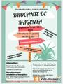 Brocante de Magenta