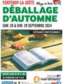 Photo Déballage d'automne 16ème édition. à Fontenoy-la-Joûte
