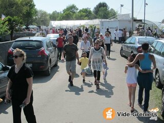 Photo de l'événement ETS HORTICOLE PICQ...BROCANTE ET promos chrysanthemes..