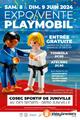 Photo Exposition vente de Playmobil avec animation à Juniville