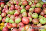 Photo fête de la pomme et foire à tout à Nassandres sur Risle