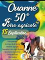 Foire agricole vide grenier