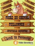 Photo foire du cheval à Peillonnex