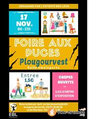 Foire aux puces