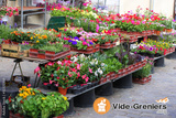 Photo Marché aux fleurs à Mortagne-sur-Gironde