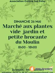 Marché aux Plantes, Vide Jardin et petite Brocante du Moulin