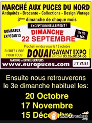 Photo de l'événement Marché aux Puces du Nord à Gayant Expo DOUAI