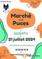 Marché aux puces : l'Ecole du Chat Libre des Vosges du Nord