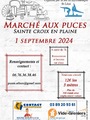 Photo Marché aux puces Ste Croix à Sainte-Croix-en-Plaine