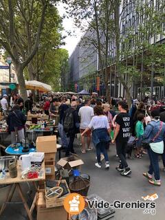 Photo de l'événement Paris 5ème : rue des Fossés Saint Bernard et Place Jussieu