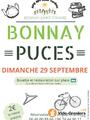 Les puces de Bonnay