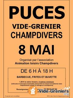 Photo de l'événement Puces brocantes vide grenier champdivers