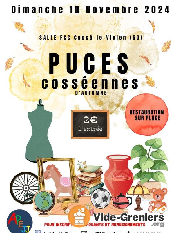 Puces Cosséennes