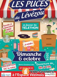 Les Puces du Lévézou en faveur du téléthon