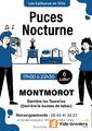 Photo Puces Nocturne à Montmorot