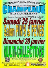 Photo de l'événement Salon du Pin’s - Fève du 25 janvier 2024 à CHAMPEAUX (77)