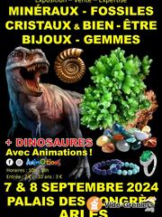Photo de l'événement Salon Minéraux Fossiles Bijoux et Exposition Dinosaures