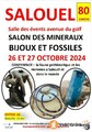 Salon des Minéraux, Fossiles et Bijoux de Salouël 80480