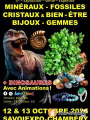 Photo de l'événement Salon Minéraux Fossiles et Exposition Dinosaures