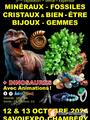 Photo Salon Minéraux Fossiles et Exposition Dinosaures à Chambéry