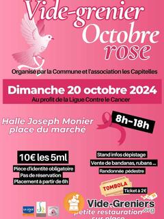 Photo de l'événement VIDE GRENIER - au profit d'Octobre rose