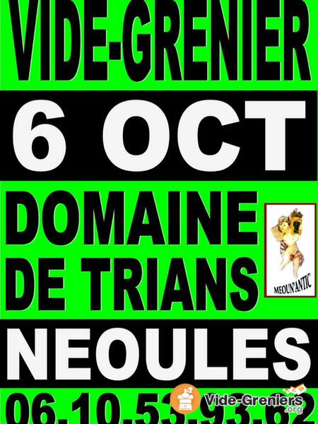 Vide grenier brocante au domaine de trians