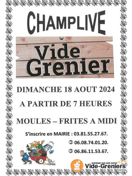 Vide grenier du comite des fetes de champlive