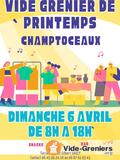 Vide grenier du Printemps