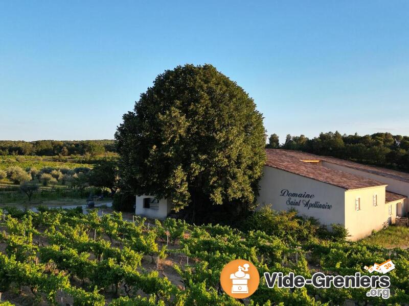 Vide Grenier et découverte d'un domaine