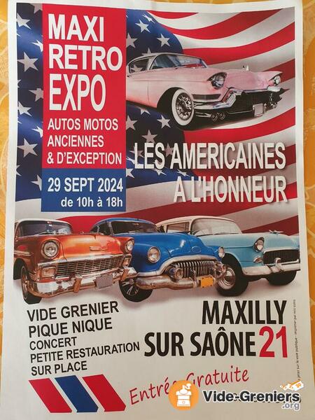 Vide grenier de Maxi Animation