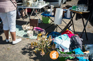 Photo de l'événement Vide-greniers et foire aux plantes