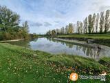 Photo Vide greniers à l'étang d'Argentay à Doué-en-Anjou