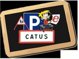 APE CATUS 46
