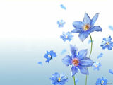 association fleur bleue