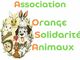 photo de Association OSA Orange Solidarité Animaux