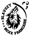 BLAVOZY BF