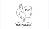 Cdfmontpouillan