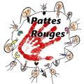 Les Pattes Rouges Saint Martin