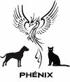 phenix_2