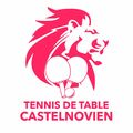 Tennis de Table Castelnovien